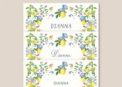 Casa Felix Place Settings & Linens|Al Fresco Place Cards