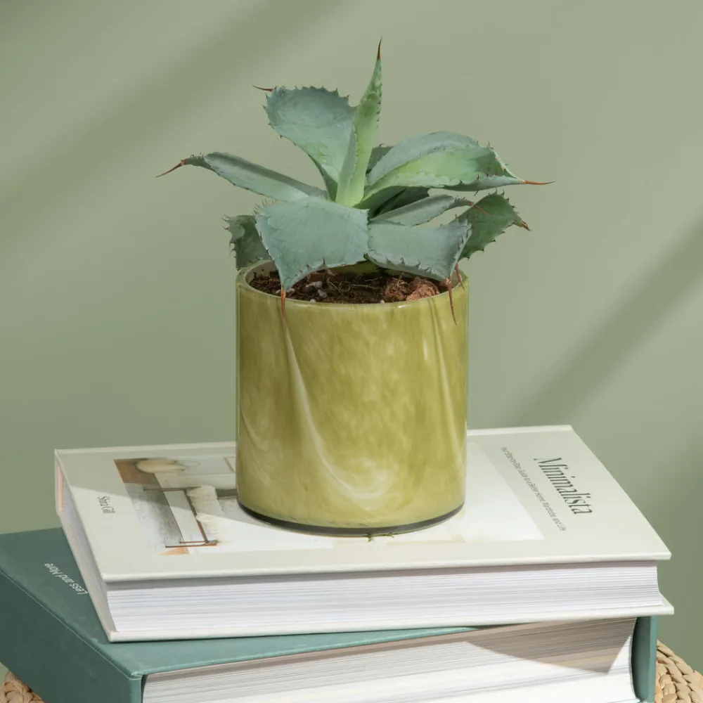 LAFCO New York Candles & Fragrance|Candles|Andean Myrtle Signature Candle