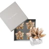 Kim Seybert Place Settings & Linens|Beachcomber Napkin Ring in Natural, Set of 4 in a Gift Box