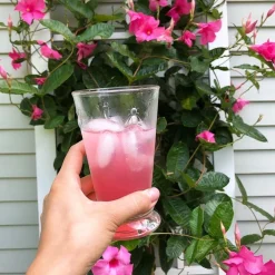 La Rochere Glassware|Bee Ice tea Glass, Set of 6