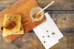 Henry Handwork Place Settings & Linens|Bees Napkin