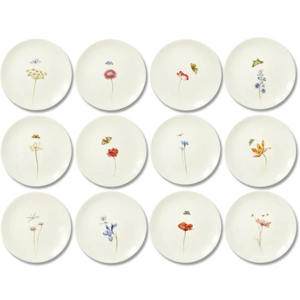 Laboratorio Paravicini Dinnerware|Bloom Plates, Set of 12