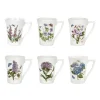 Portmeirion Dinnerware|Botanic Garden Mandarin Mugs, Set of 6