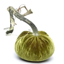 Hot Skwash Living|Décor|Cactus Silk Velvet Pumpkin