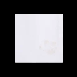 Z.d.G. Place Settings & Linens|Camaieu Ivoire Embroidered Dinner Napkin