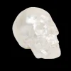 Joanna Buchanan Living|Décor|Capiz Skull in Pearl
