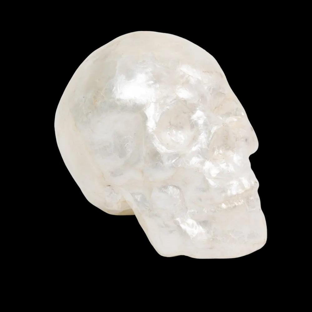 Joanna Buchanan Living|Décor|Capiz Skull in Pearl