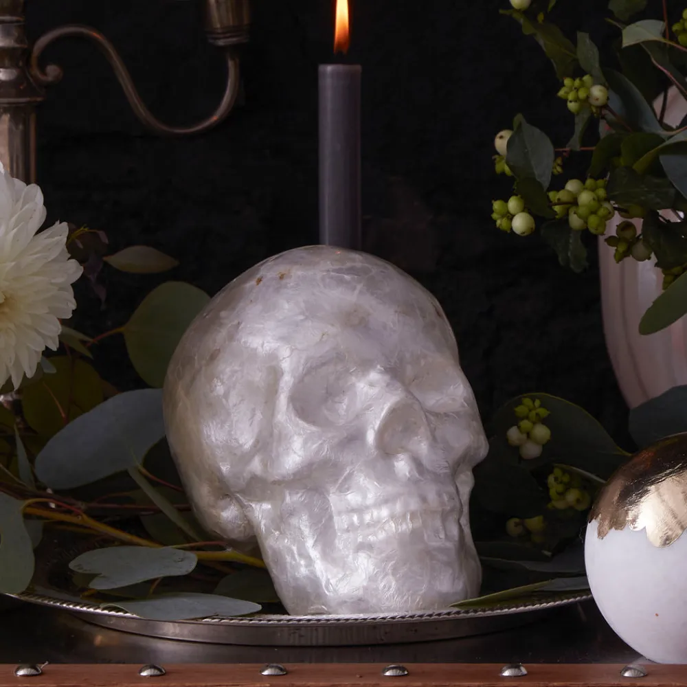 Joanna Buchanan Living|Décor|Capiz Skull in Pearl