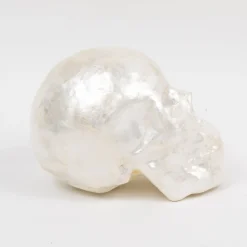 Joanna Buchanan Living|Décor|Capiz Skull in Pearl