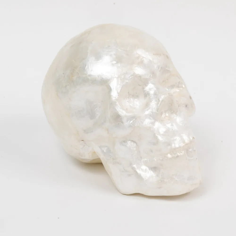 Joanna Buchanan Living|Décor|Capiz Skull in Pearl