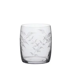 The Vintage List Glassware|Carafe Glasses with Fern Design, Set of Four