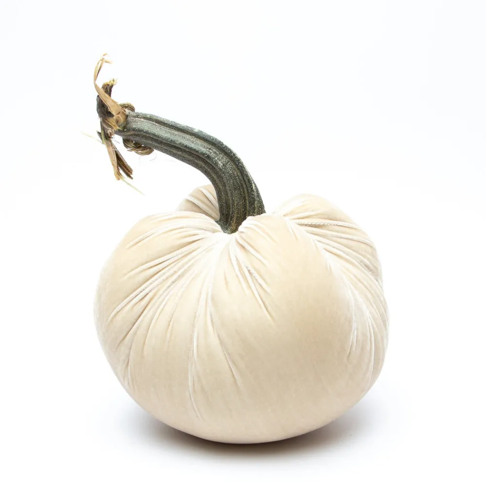 Hot Skwash Living|Décor|Cream Silk Velvet Pumpkin