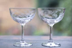 The Vintage List Glassware|Crystal Champagne Saucers with Fern Design