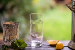 The Vintage List Glassware|Crystal Highballs With Spears Design, Set of 4