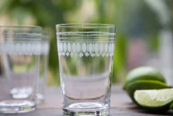 The Vintage List Glassware|Crystal Tumblers with Ovals Design, Set of Six