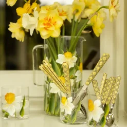 Petra Palumbo Glassware|Daffodil Jug