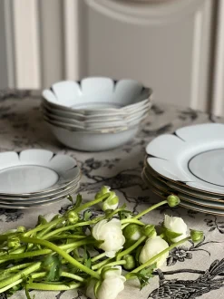 Molecot Dinnerware|Drops Dessert Plate