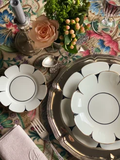 Molecot Dinnerware|Drops Soup & Pasta Plate