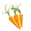 Hot Skwash Living|Décor|Fancy Carrot Trio