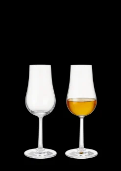 Rosendahl Glassware|GC Spirit Glass Clear, Set of 2
