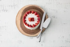 Fortessa Flatware|Grand City Serrated Cake Knife 13.5