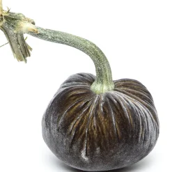 Hot Skwash Living|Décor|Graphite Silk Velvet Pumpkin