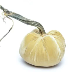 Hot Skwash Living|Décor|Husk Silk Velvet Pumpkin
