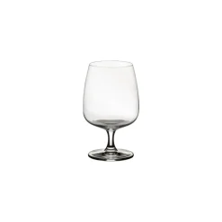 Costa Nova Glassware|Isabel Collection Brandy Glass 12.63 oz in Clear, Set of 6