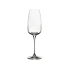 Costa Nova Glassware|Isabel Collection Flutes 9.75 oz in Clear, Set of 6
