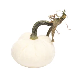 Hot Skwash Living|Décor|Ivory Silk Velvet Pumpkin
