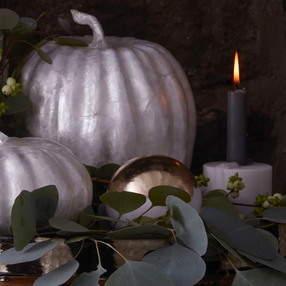 Joanna Buchanan Living|Décor|Large Capiz Pumpkin in Pearl
