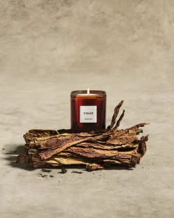 Assouline Candles|Library Candle in Cigar