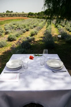 Cibelle Place Settings & Linens|Luci D'Artista Tablecloth