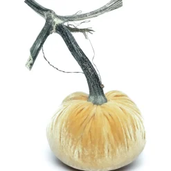 Hot Skwash Living|Décor|Maize Silk Velvet Pumpkin