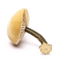 Hot Skwash Living|Décor|Medium Husk Mushrooms