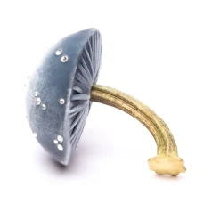 Hot Skwash Living|Décor|Medium Lake Mushroom