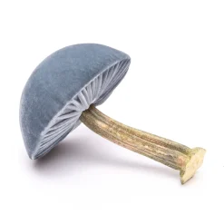 Hot Skwash Living|Décor|Medium Lake Mushroom