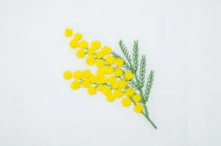 TriChi Design Place Settings & Linens|Mimosa Napkin and Placemat, Set of 2