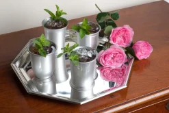 Salisbury Bar|Silver|Mississippi Julep Cup