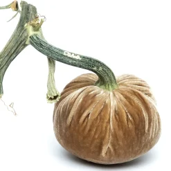 Hot Skwash Living|Décor|Mocha Silk Velvet Pumpkin