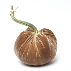 Hot Skwash Living|Décor|Mocha Silk Velvet Pumpkin