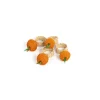 Sharland England Wicker|Place Settings & Linens|Napkin Rings Orange, Set Of 4