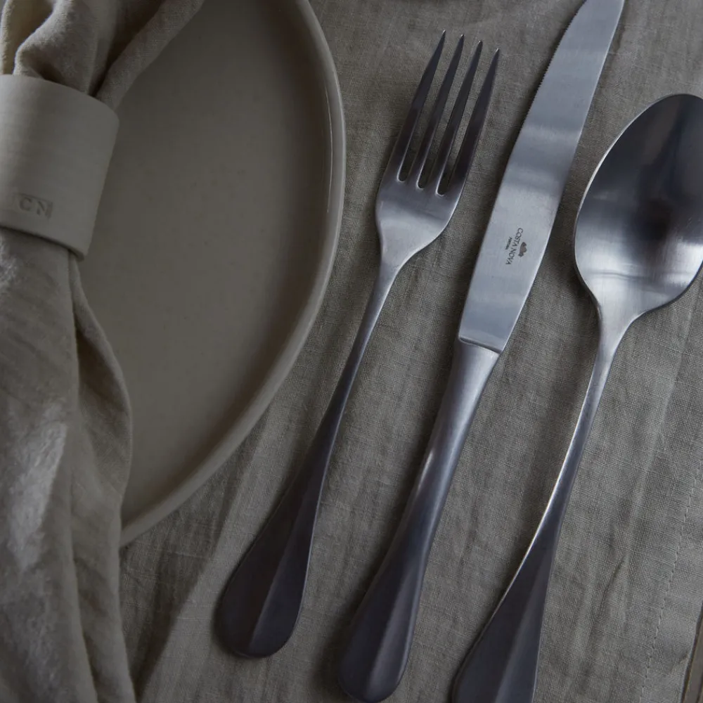 Costa Nova Flatware|Nau Collection Flatware in Brushed, Set of 5