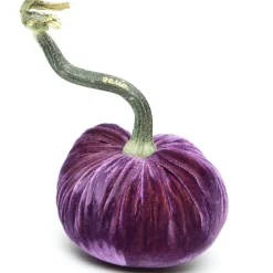 Hot Skwash Living|Décor|Orchid Silk Velvet Pumpkin