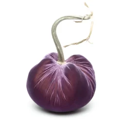 Hot Skwash Living|Décor|Orchid Silk Velvet Pumpkin