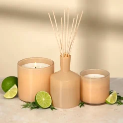 LAFCO New York Candles & Fragrance|Bath|Paloma Melon Classic Reed Diffuser