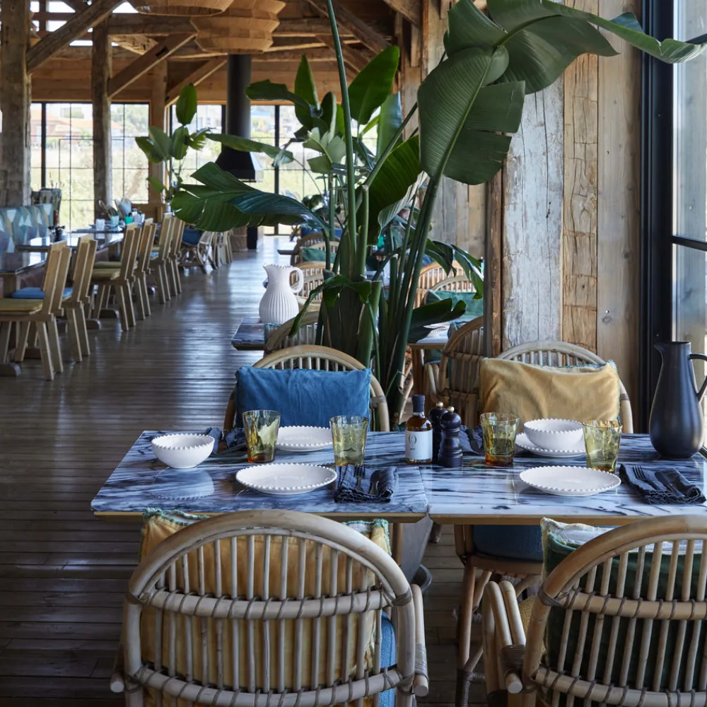 Costa Nova Dinnerware|Pearl Collection Fruit Bowls in White, Set of 6