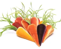 Hot Skwash Living|Décor|Perfect Platter Spread