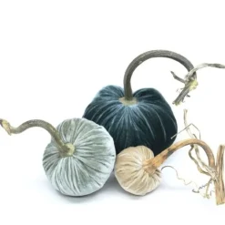 Hot Skwash Living|Décor|Petite Chic, 042