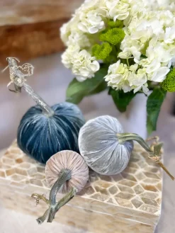 Hot Skwash Living|Décor|Petite Chic, 042